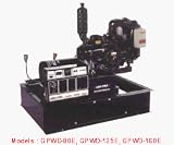 Gillette Generators GPNDL-60E GEN-PRO DIESEL ENGINE DRIVEN GENERATORS Max. KW: 6, Rated KW: 5
