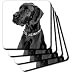 Dogs Great Dane - Black Great Dane - Coasters