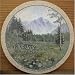 Mountain Evergreen Yellowstone National Park Sandstone Coasters