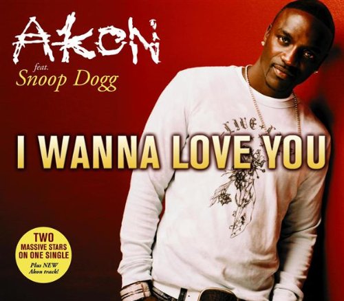 Akon (Ft Snoop Dogg) - I Wanna Love You - Zortam Music