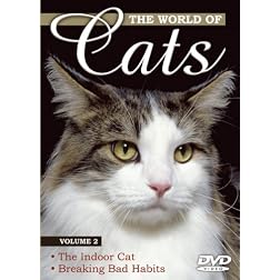 World of Cats 2