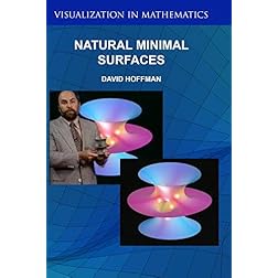 Natural Minimal Surfaces: via Theory and Computation