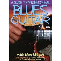 A Guide to Professional Blues Guitar