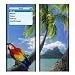 Parrot - Apple iPod nano 2G (2nd Generation) 2GB/ 4GB/ 8GB Protector Skin Decals - Faceplate Stickers