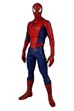 リアルアクションヒーローズ 12インチ SPIDER-MAN (SPIDER-MAN3Ver.)