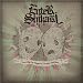 Graphic: Anything Can Happen by Enter Shikari