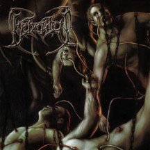 Recounts Of Disembodiment