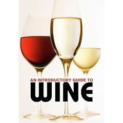 An Introductory Guide to Wine