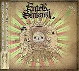 テイク・トゥ・ザ・スカイズ(DVD付)