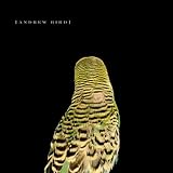 Armchair Apocrypha by Andrew Bird