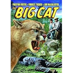 Big Cat