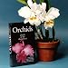 Beginners Guide to Growing Orchids DVD
