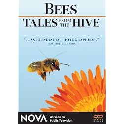 NOVA: Bees - Tales from the Hive
