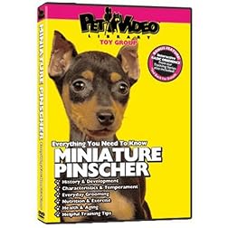 MINIATURE PINSCHER DVD + Dog & Puppy Training