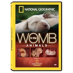 National Geographic: In the Womb - Animals
