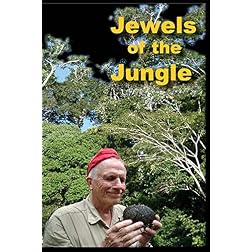 Jewels of the Jungle