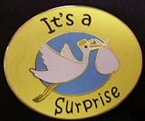 Handcrafted Stork Pride Pin - "It's a Surprise"