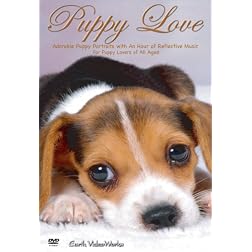 Puppy Love