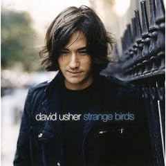 David Usher