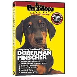 DOBERMAN PINSCHER DVD! Includes Dog & Puppy Training Bonus
