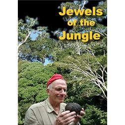 Jewels of the Jungle