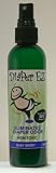 Diaper EZ 4oz Diaper Odor Elimination Spray/ Works With Existing Pail/Treats Over 500 Diapers/ "Baby Berry Blend"