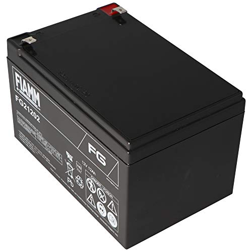 Festnetztelefone: Fiamm FG21202 | 12Ah