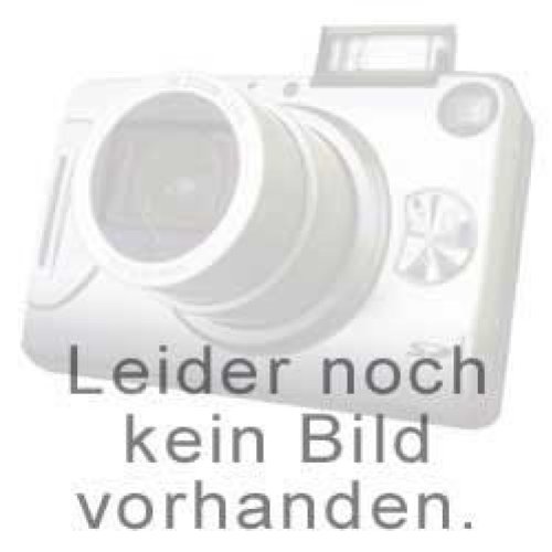Projektoren: Panasonic A210 Ersatzakku, 550mAh