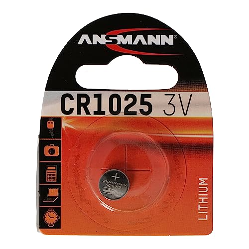 Camcorder: CR1025 Lithium Batterie