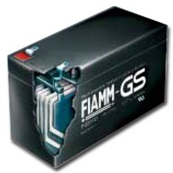 Festnetztelefone: Fiamm FGC24204 Cyclic, 42Ah