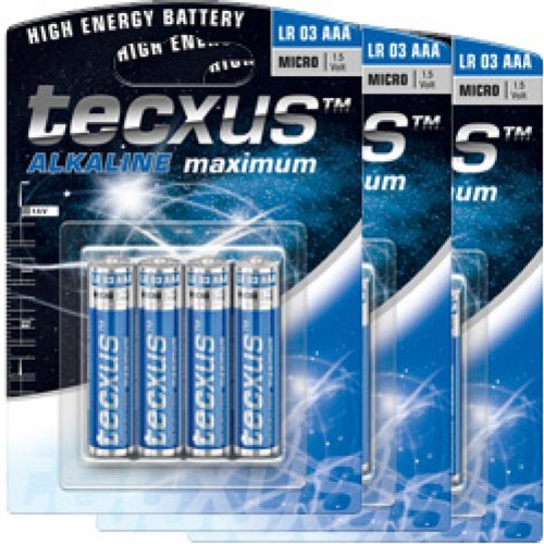 Kamerazubeh&ouml;r: BatteryPower 12er Spar-Pack Micro, AAA, LR03, R03