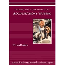 Training The Companion Dog 1-- Socialization and Training