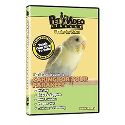 PARAKEET DVD! + Train your Bird to Talk Bonus Video