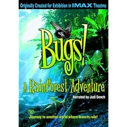 Bugs! A Rainforest Adventure