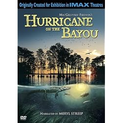 Hurricane on the Bayou