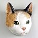 All Products : Japanese Bobtail Tort/white Magnet. Brand New Quality Product