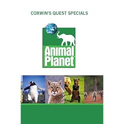 Corwin's Quest Specials