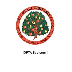 IDFTA Systems I