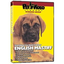 ENGLISH MASTIFF DVD! + Dog & Puppy Training Bonus