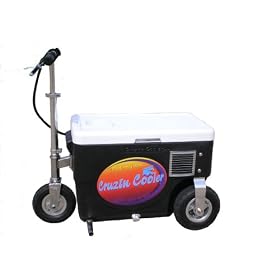 Cruzin Cooler 50-Series 500-Watt Electric Scooter from amazon.com