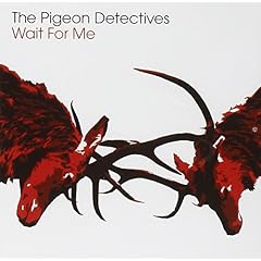 THE PIGEON DETECTIVES