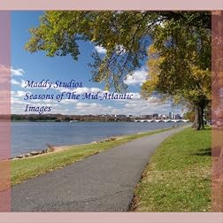 Maddy Studios Seasons of the Mid-Atlantic Images