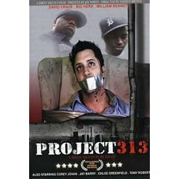 Project 313