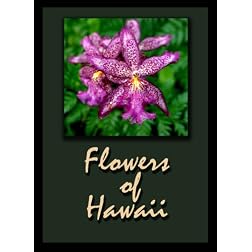 Flowers of Hawaii