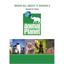 Breed All About It Season 2 - Episode 8: Pointer