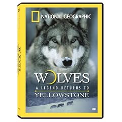 Wolves: A Legend Returns to Yellowstone