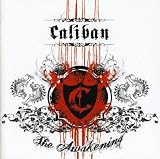 album art to The Awakening
