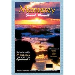 Monterey: Surreel Moments