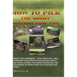 How To Pick The Right Reptile For You