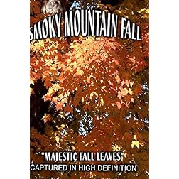 SMOKY MOUNTAIN FALL- 
